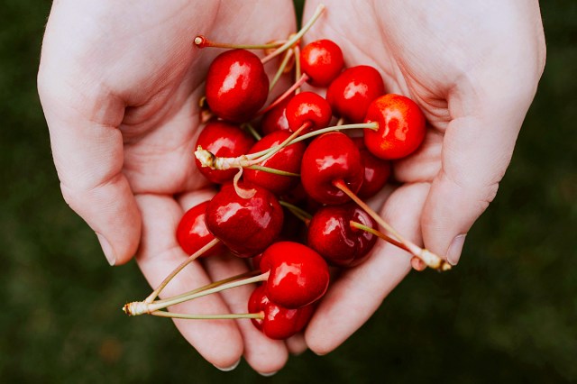 a handful of cherries 