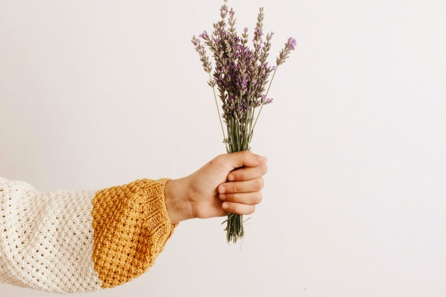 person holding flowers