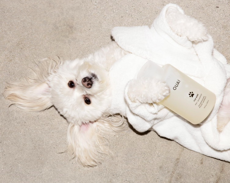 dog laying down in white robe holding a ouai pet shampoo bottle