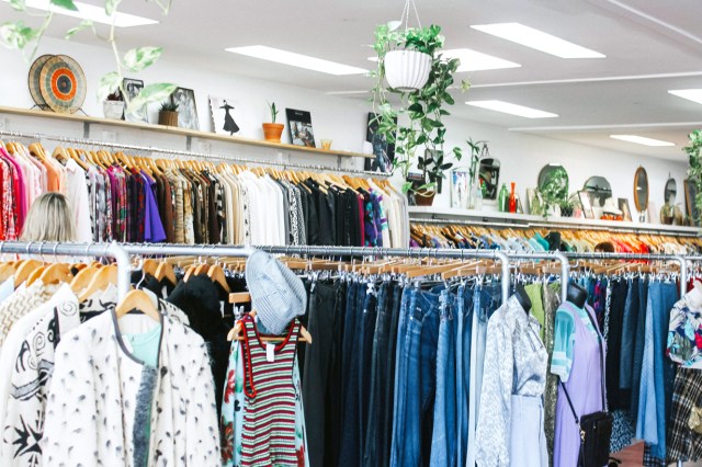Interior of a clothing store with hanging plants