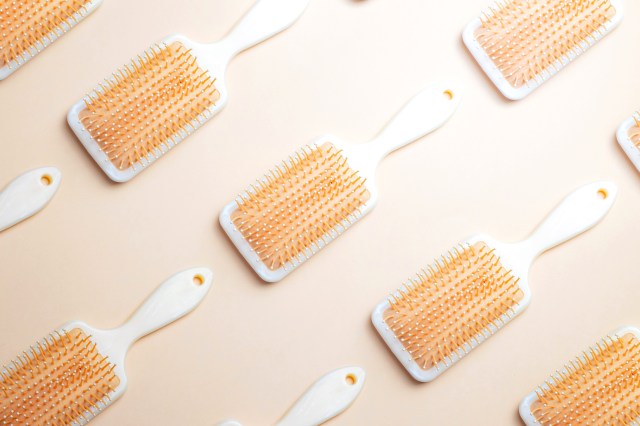 Still life of brushes in rows on a light background