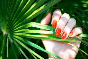 Close up of a hand in a leaf, nails are painted bright orange