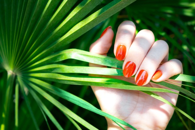 Close up of a hand in a leaf, nails are painted bright orange