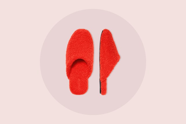 red slippers