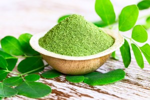 Moringa powder